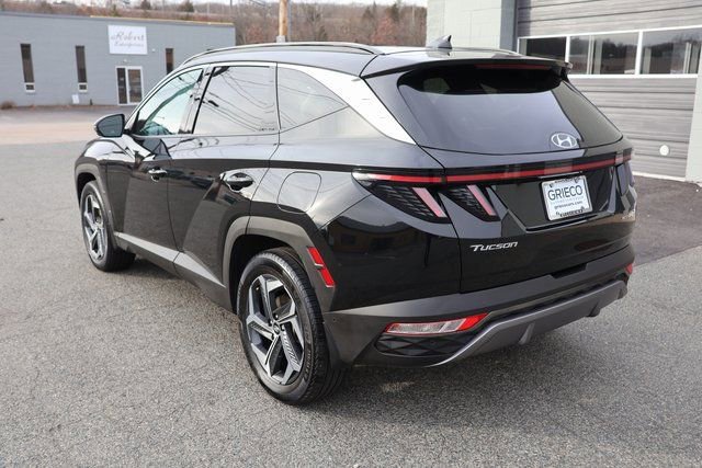 Certified 2024 Hyundai Tucson Limited image 6