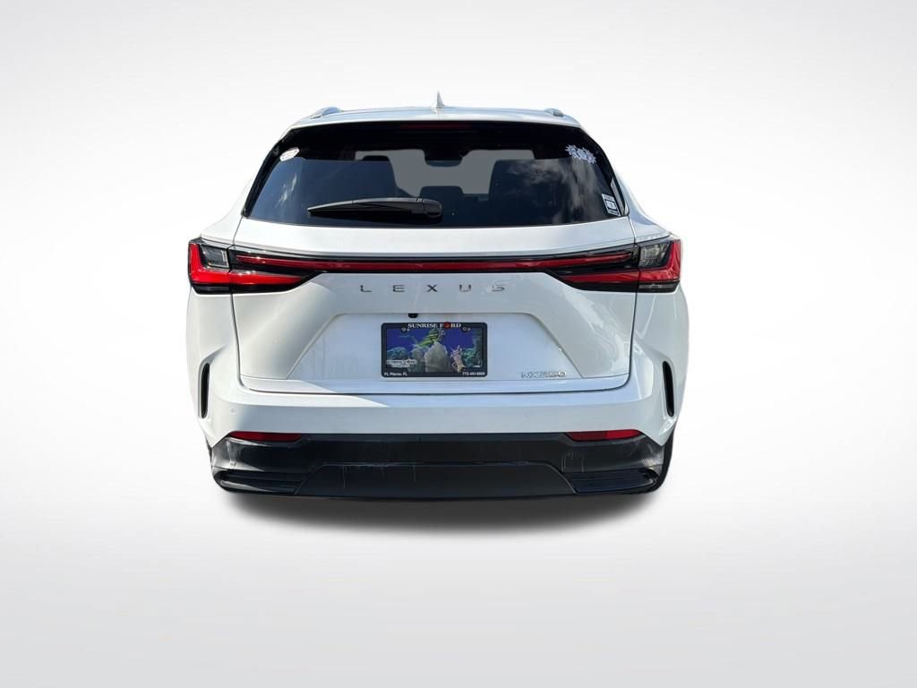 Used 2024 Lexus NX 250 FWD w/ Premium Package image 7