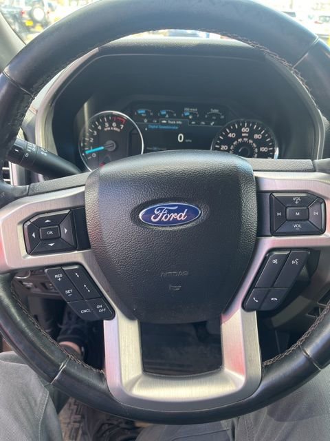 Used 2019 Ford F150 Platinum w/ Equipment Group 701A Luxury image 8