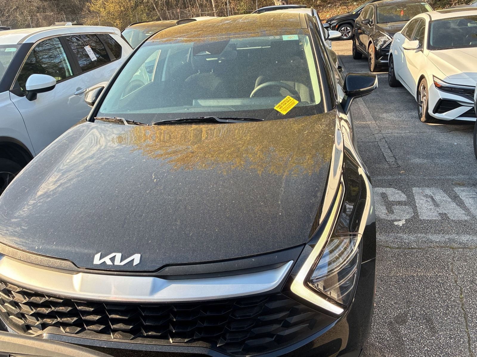 Used 2025 Kia Sportage LX image 3