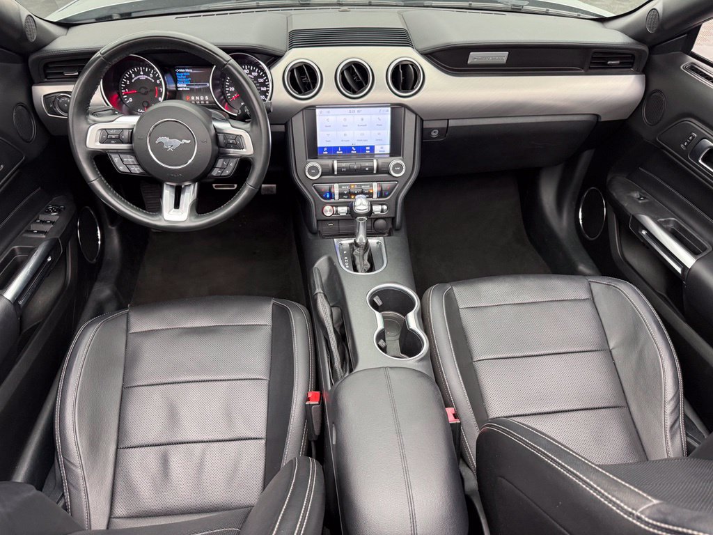 Used 2023 Ford Mustang Premium RWD image 4