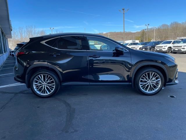 Used 2023 Lexus NX 350 AWD w/ Cold Area Package image 4