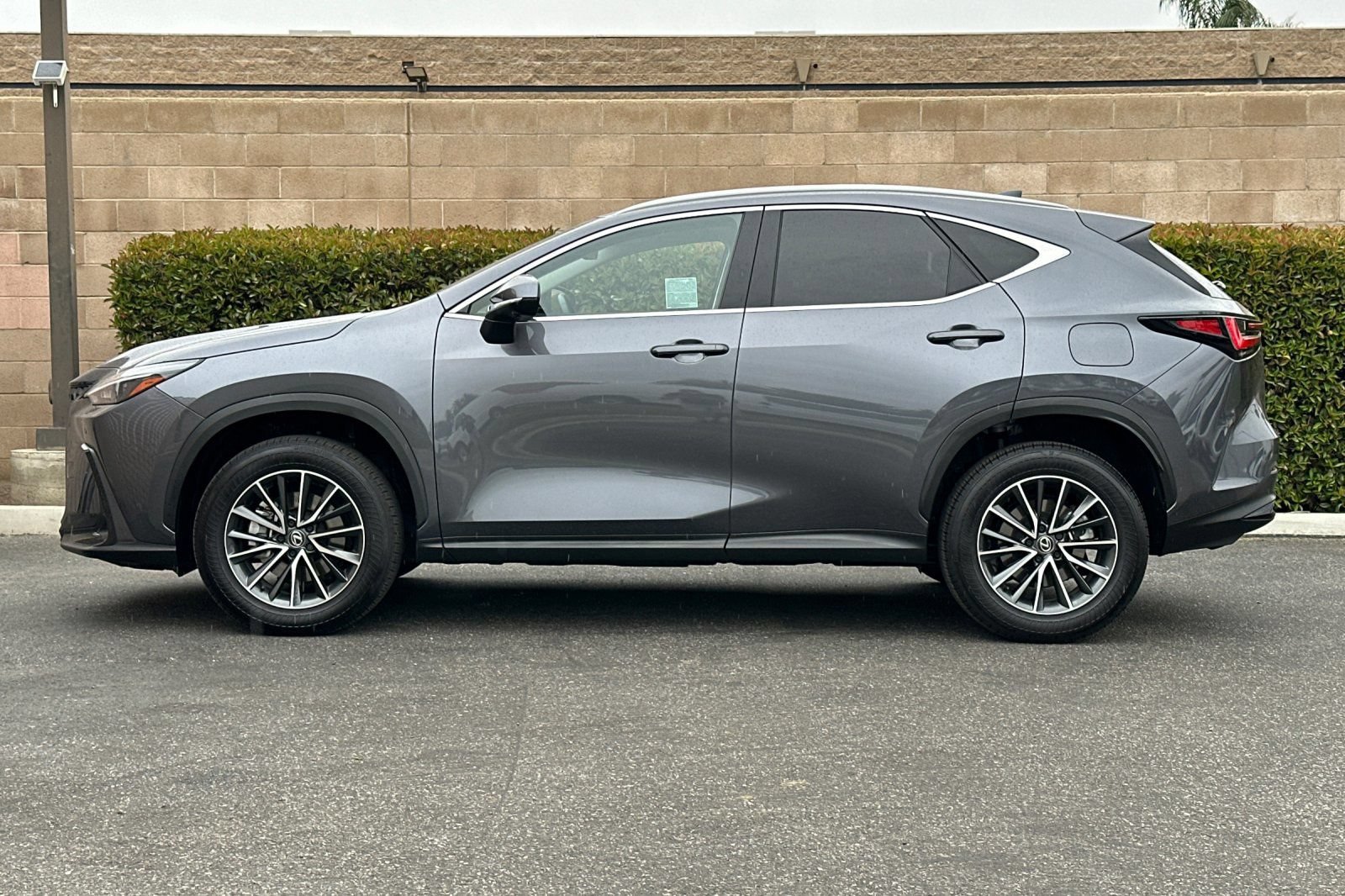 Certified 2025 Lexus NX 350h AWD w/ Cold Area Package image 7