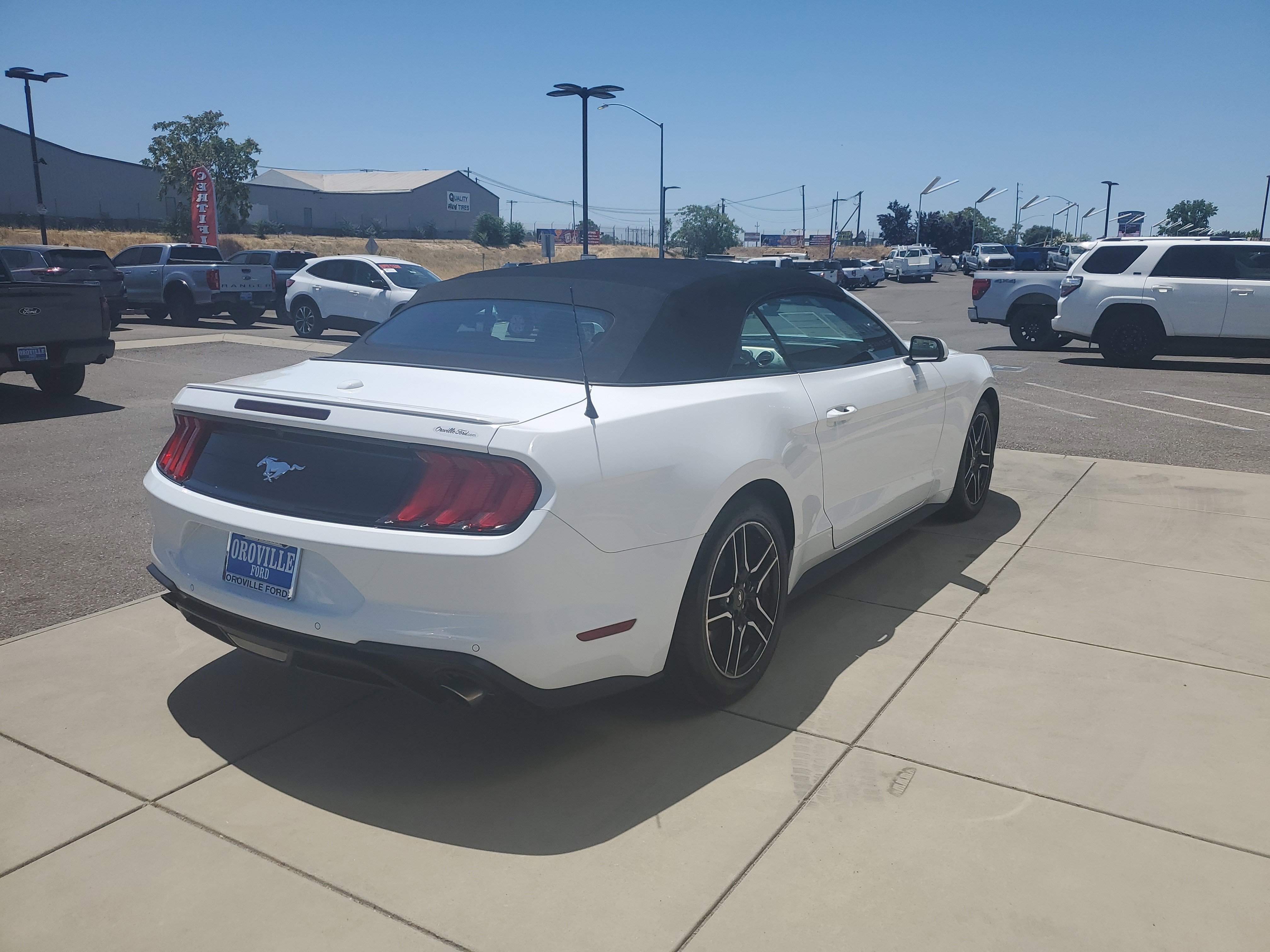 Used 2023 Ford Mustang Premium image 5