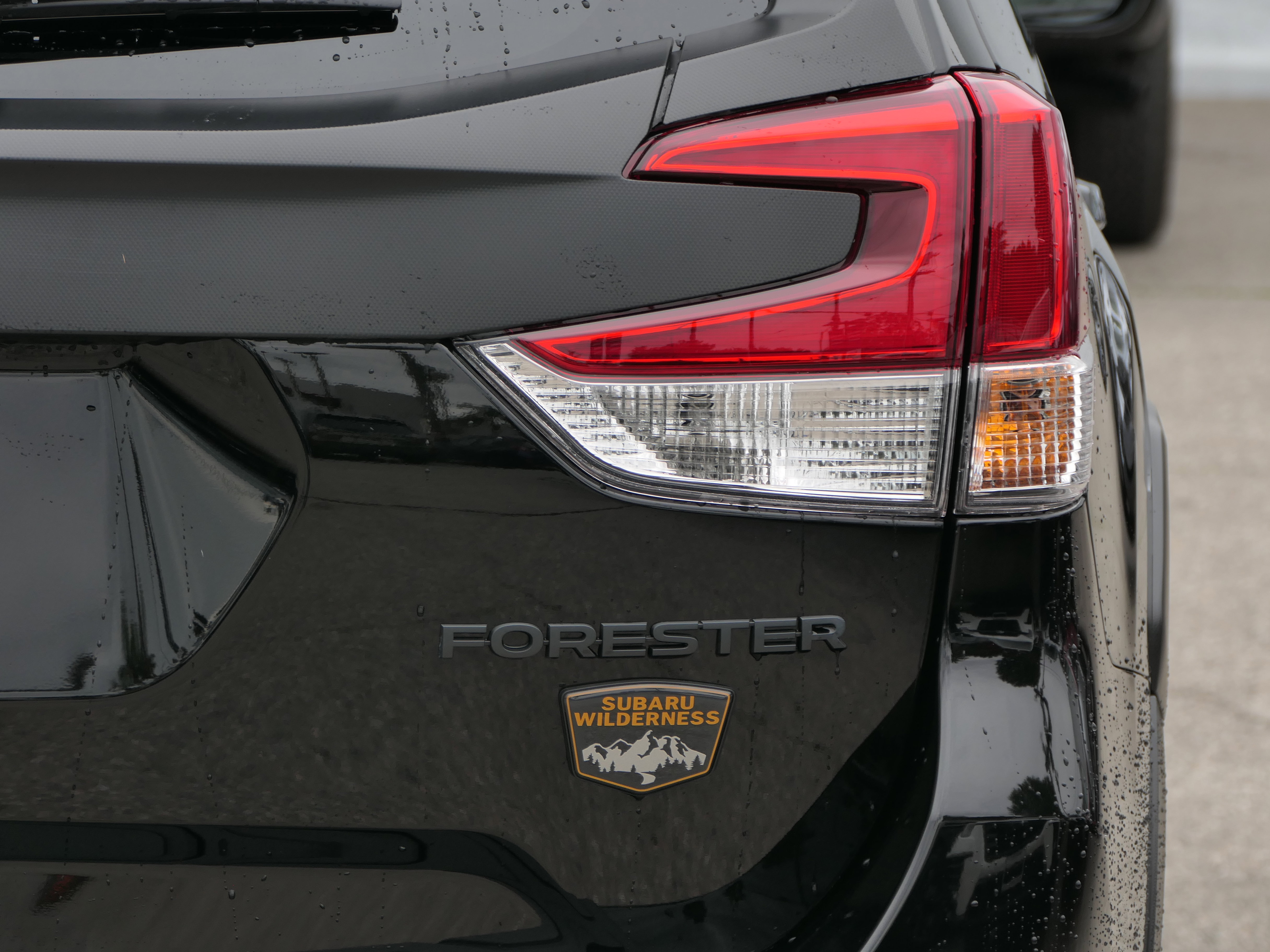 Certified 2025 Subaru Forester Wilderness image 5