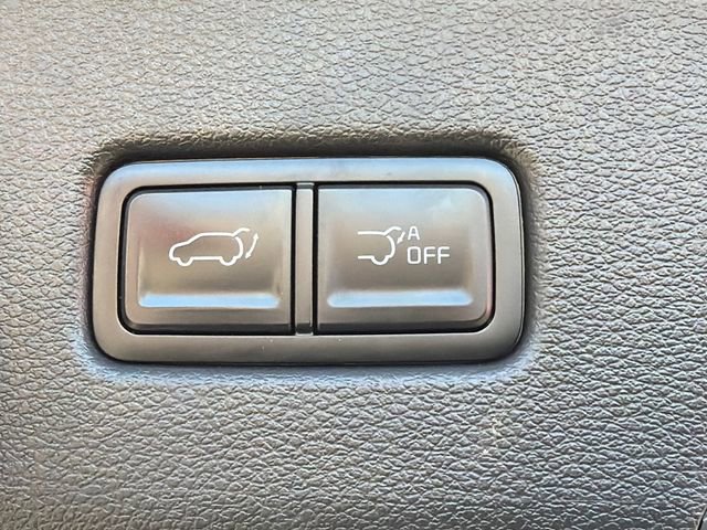 Used 2023 Kia Telluride SX Prestige X-Line image 19