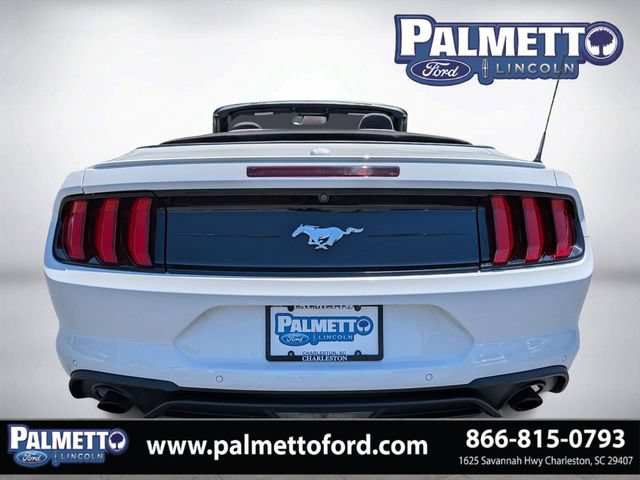 Used 2019 Ford Mustang Convertible w/ Equipment Group 101A RWD image 4