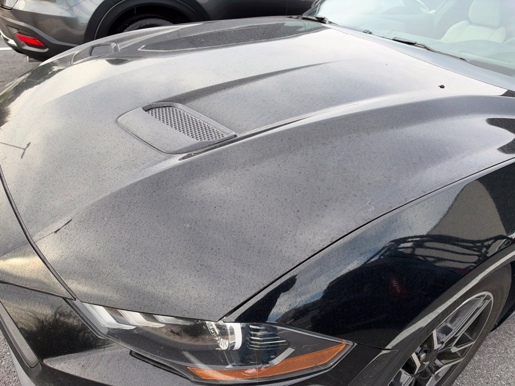 Used 2019 Ford Mustang Premium w/ Ford Safe & Smart Package RWD image 13