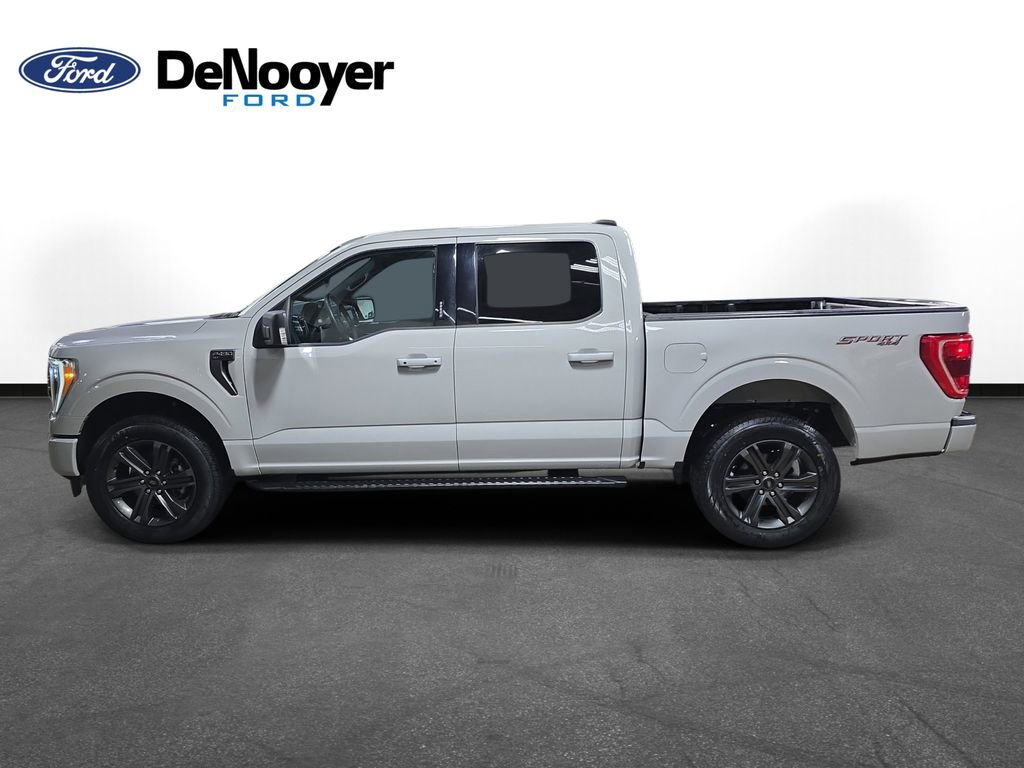 Used 2023 Ford F150 XLT w/ Equipment Group 302A High image 10