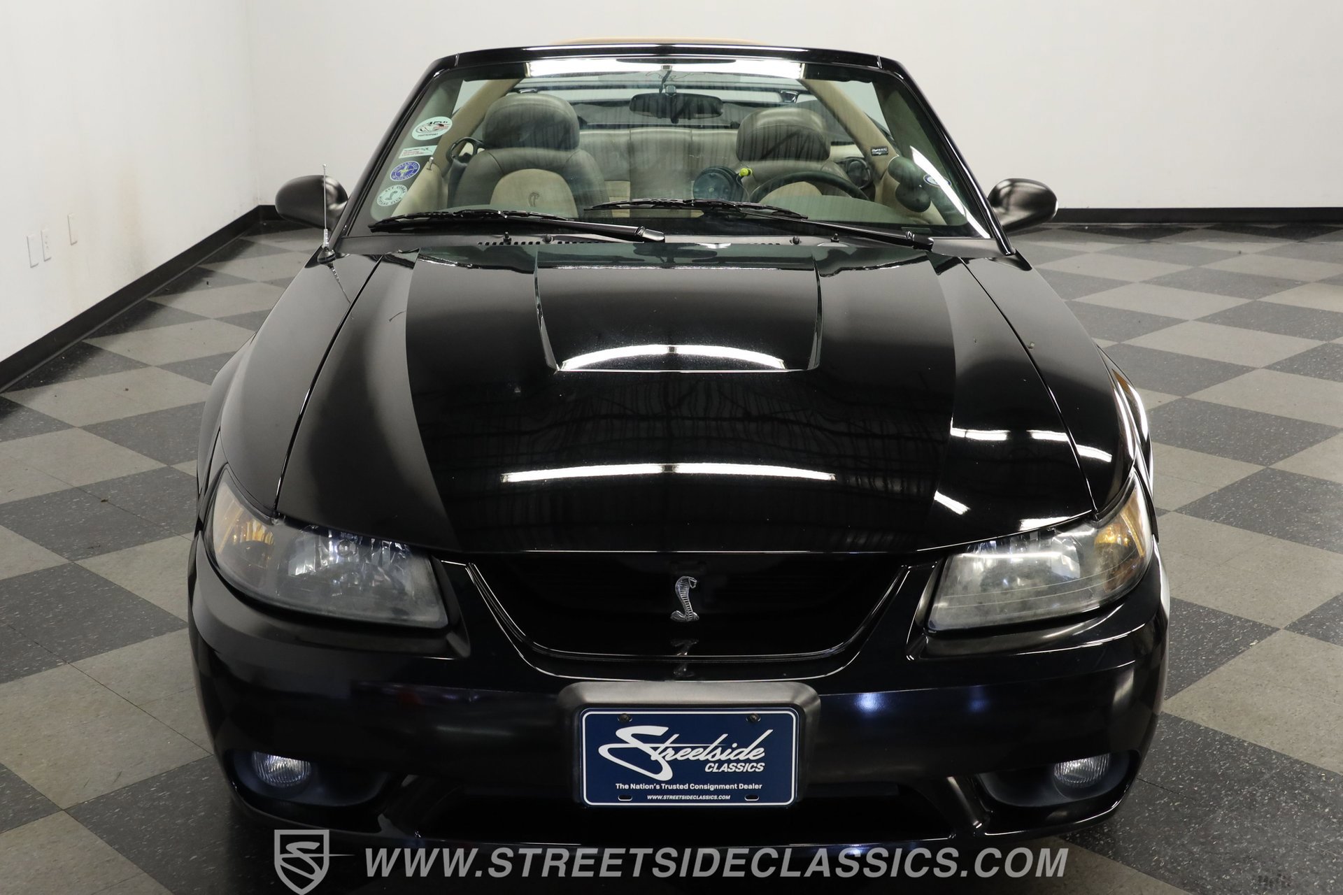 Used 2001 Ford Mustang Cobra image 15