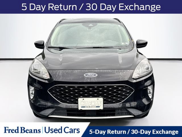 Used 2020 Ford Escape SEL AWD/4WD image 2