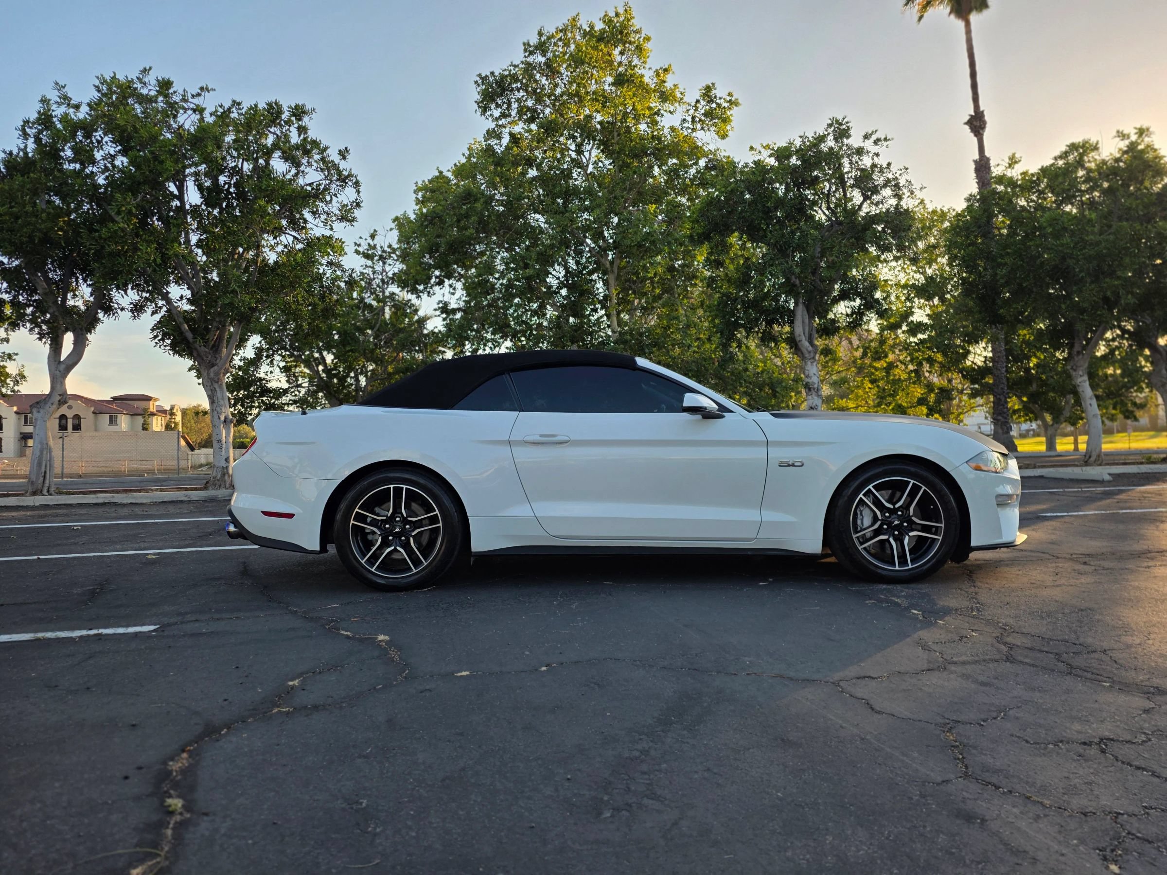 Used 2019 Ford Mustang GT Premium RWD image 2