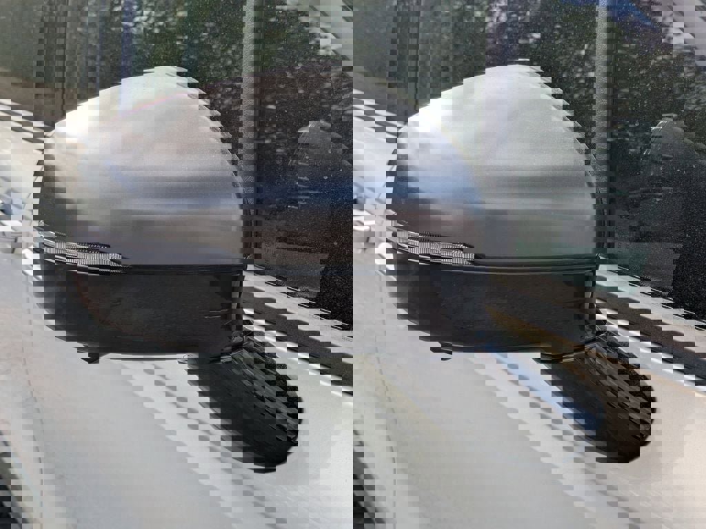 Used 2025 Kia Carnival SX Prestige image 12