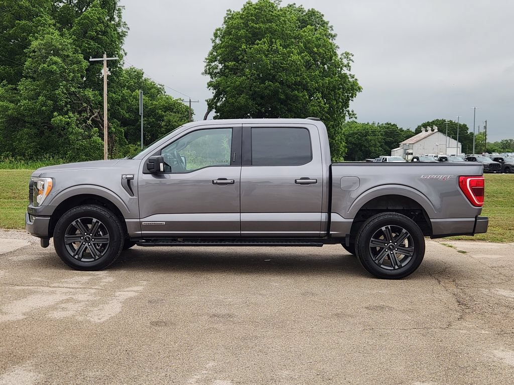 Used 2023 Ford F150 XLT w/ Equipment Group 302A High AWD/4WD image 4