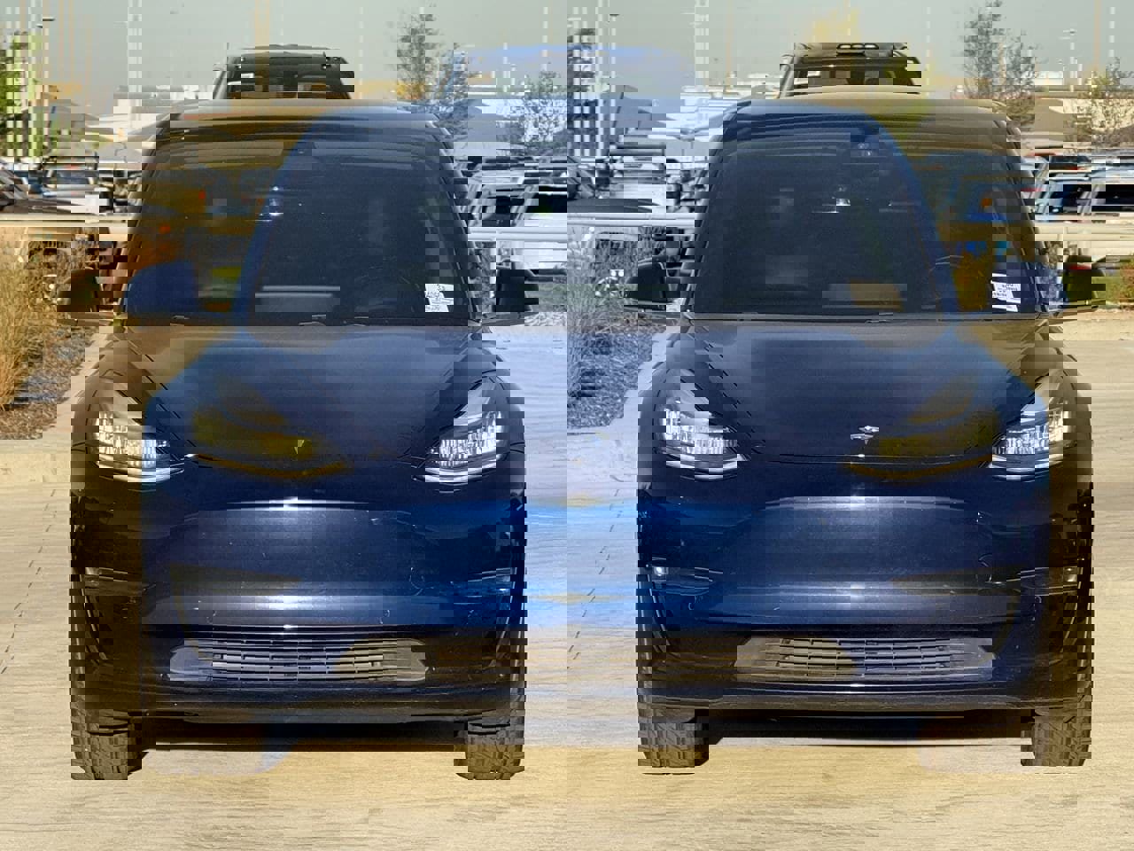 Used 2019 Tesla Model 3 Standard Range image 7