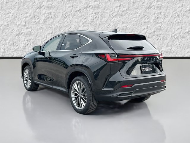 New 2026 Lexus NX 350 AWD w/ Accessory Package (2T) image 5
