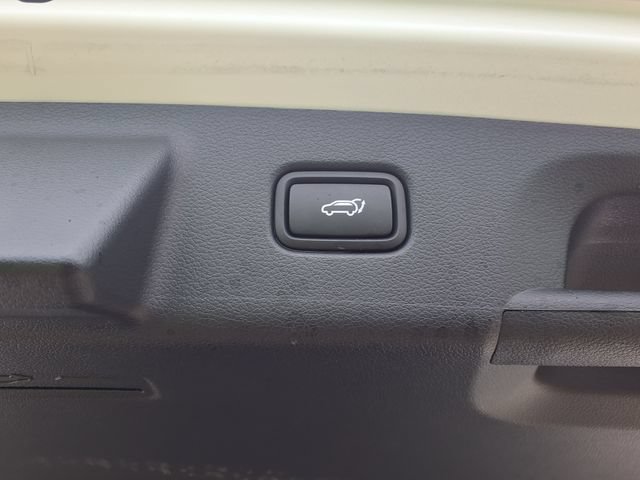 Used 2025 Hyundai Palisade Calligraphy AWD/4WD image 14