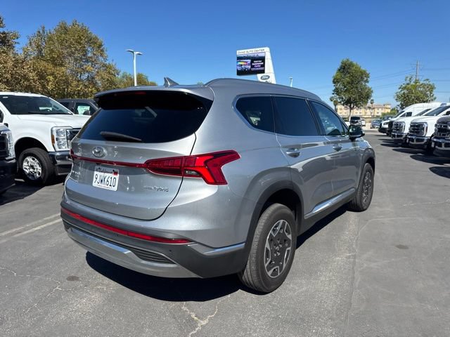 Used 2023 Hyundai Santa Fe Blue AWD/4WD image 3