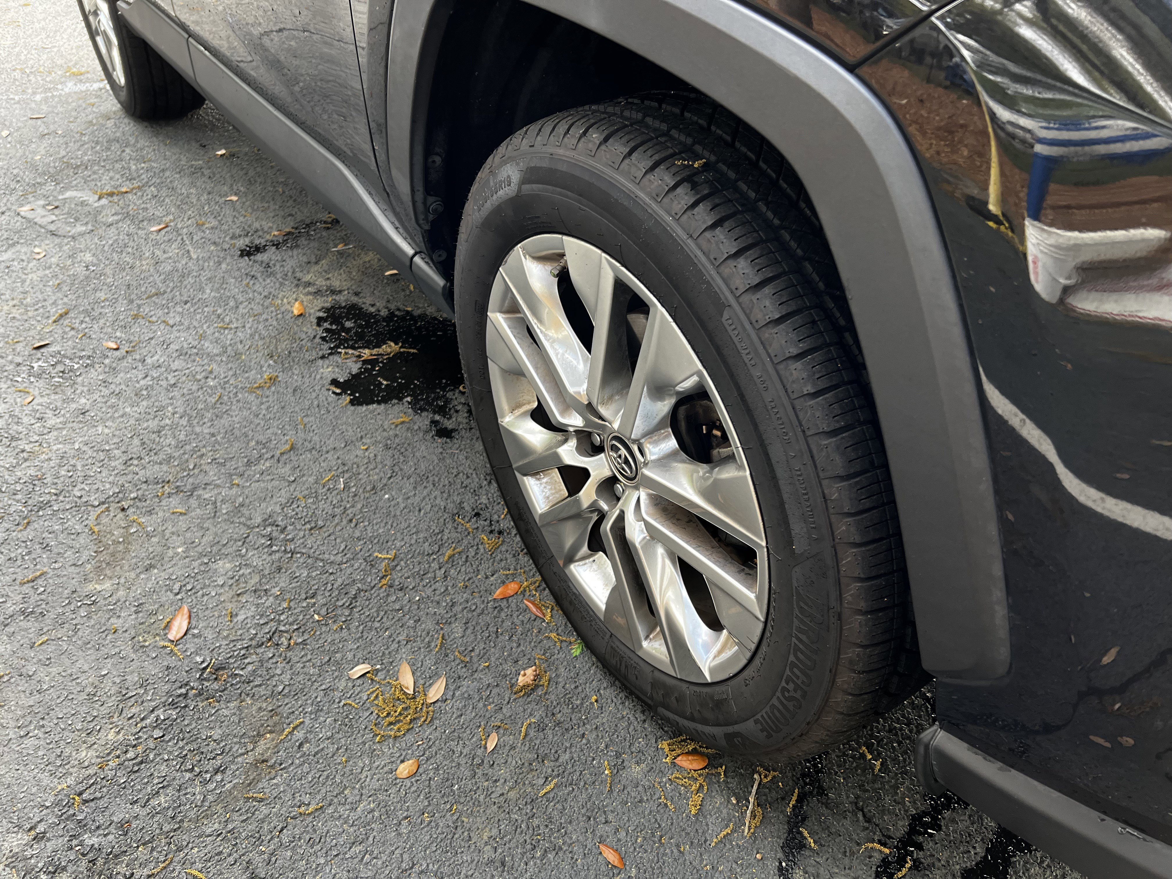 Used 2019 Toyota RAV4 XLE Premium image 11