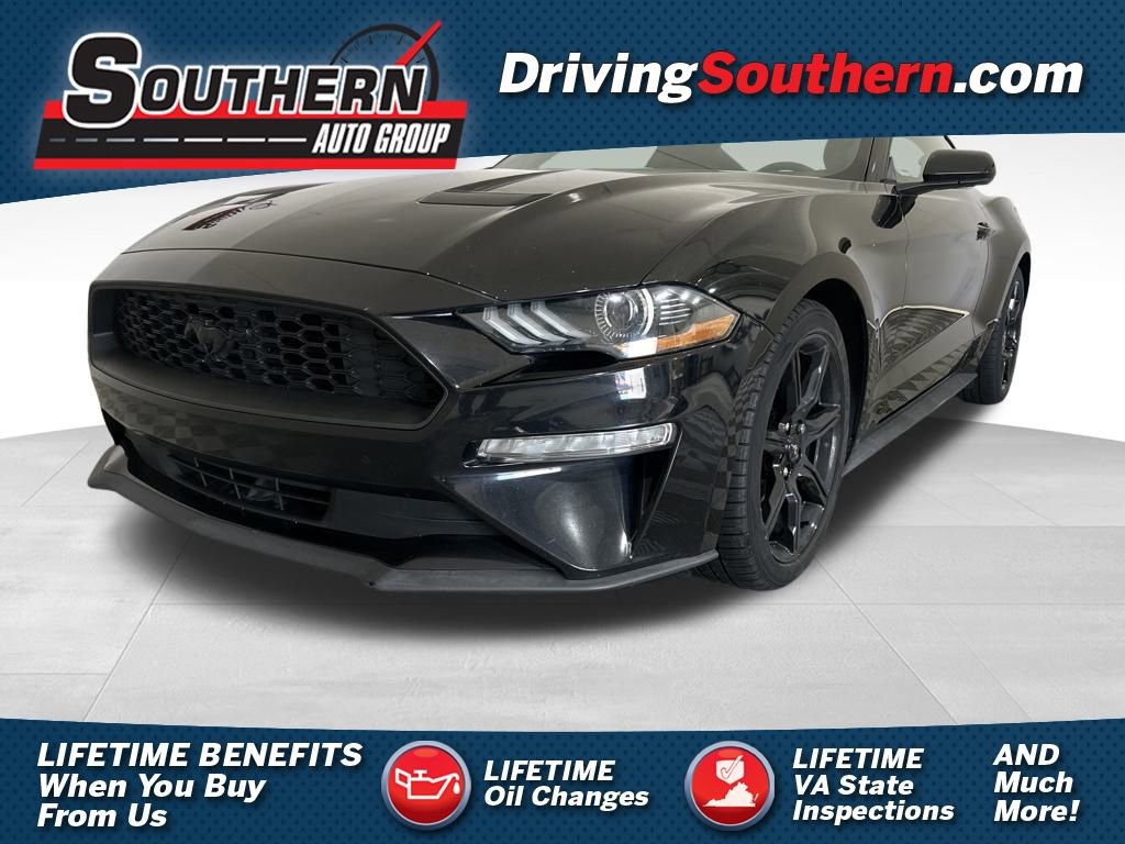 Used 2019 Ford Mustang EcoBoost w/ Equipment Group 101A image 1