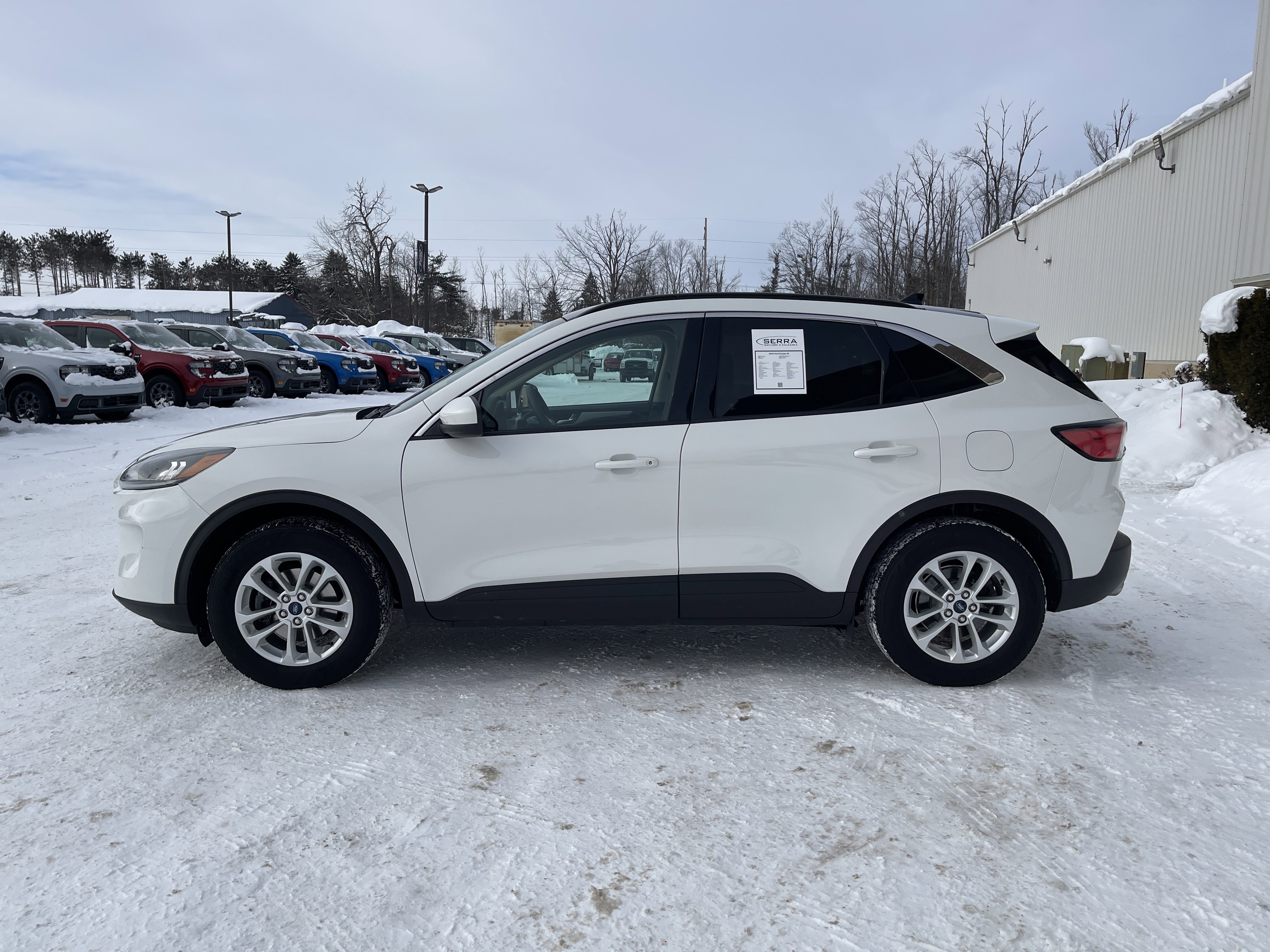 Used 2020 Ford Escape SE image 6