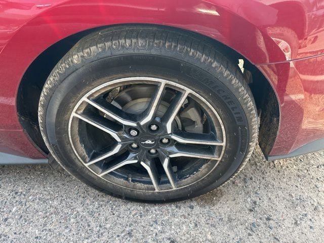 Used 2018 Ford Mustang Premium RWD image 4
