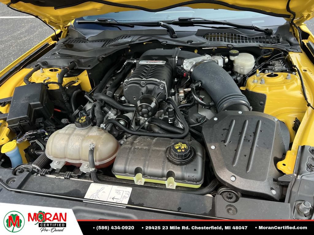 Used 2016 Ford Mustang GT Premium w/ Equipment Group 401A RWD image 11
