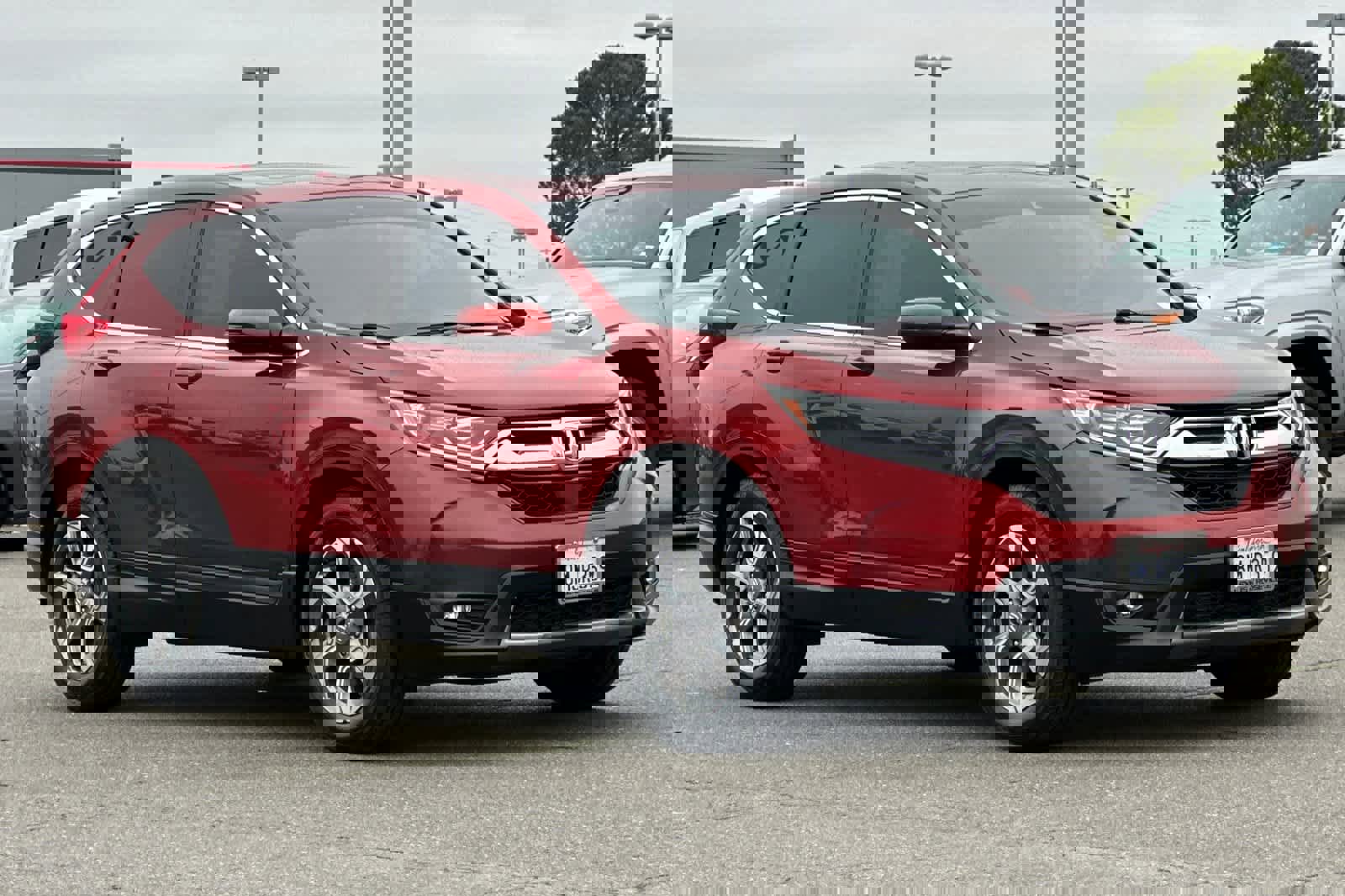 Used 2019 Honda CR-V EX image 5