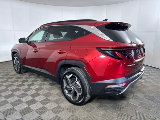 Used 2024 Hyundai Tucson Limited image 5