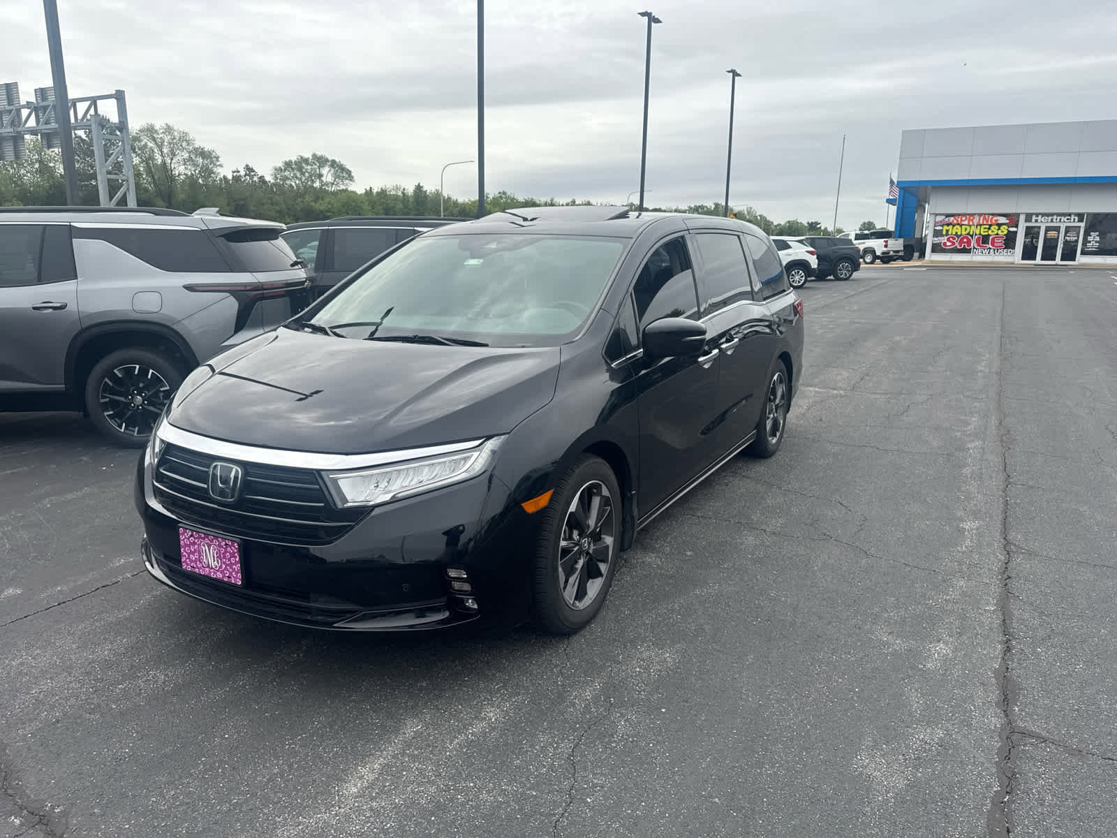 Used 2022 Honda Odyssey Elite image 4