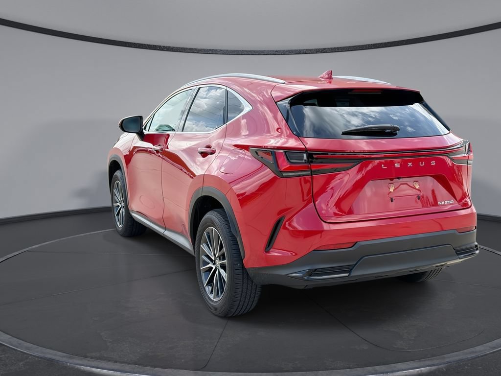 Certified 2024 Lexus NX 250 FWD w/ Cold Area Package image 10