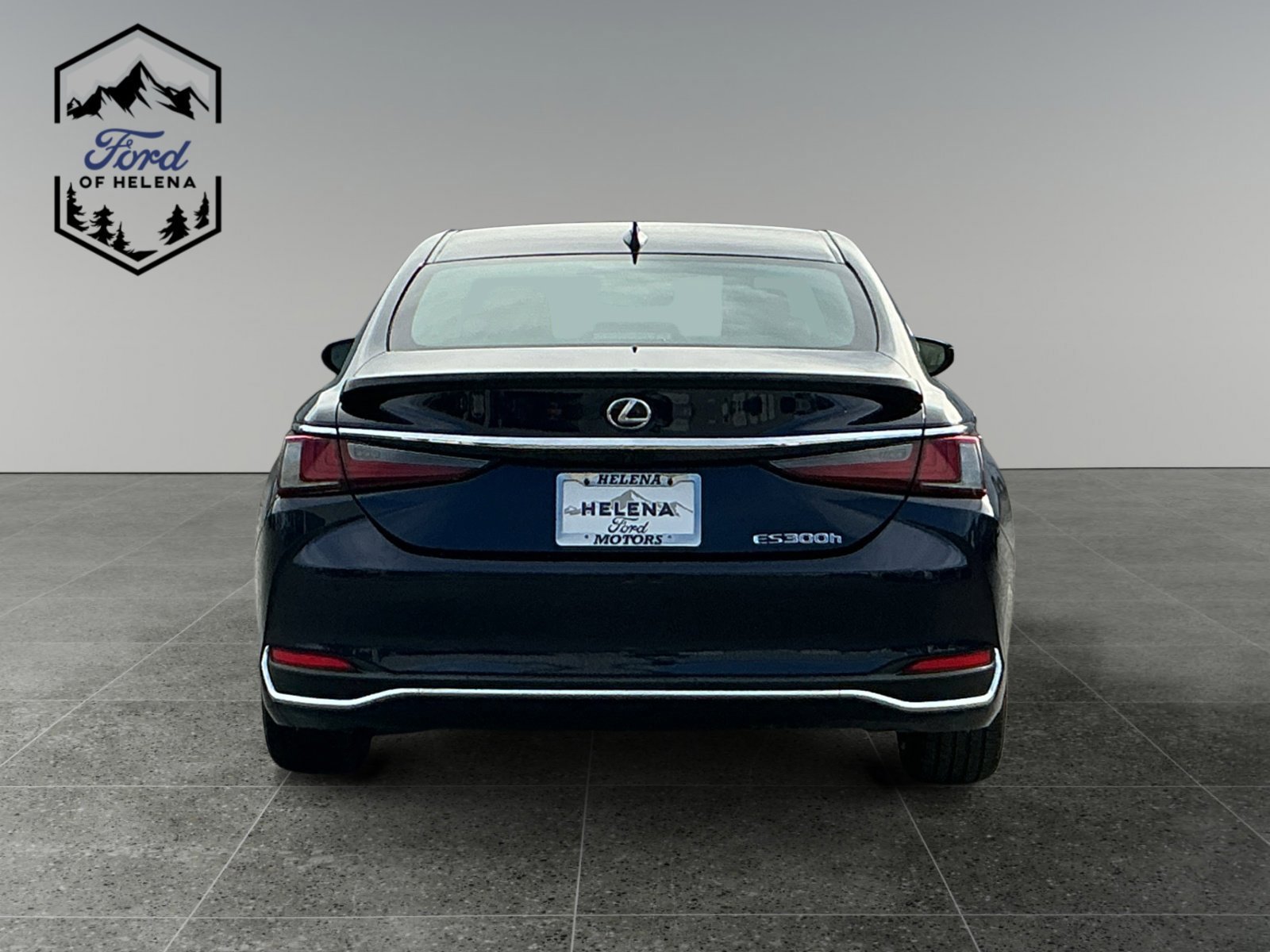 Used 2020 Lexus ES 300h w/ Premium Package FWD image 4