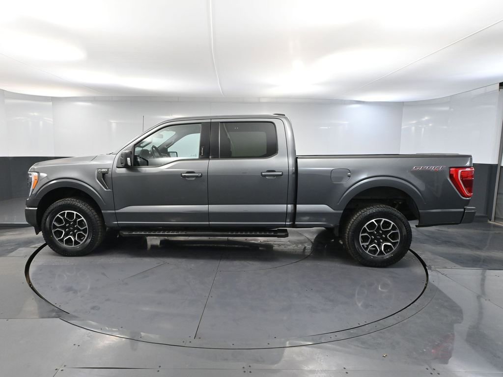 Used 2023 Ford F150 XLT w/ Equipment Group 302A High image 11