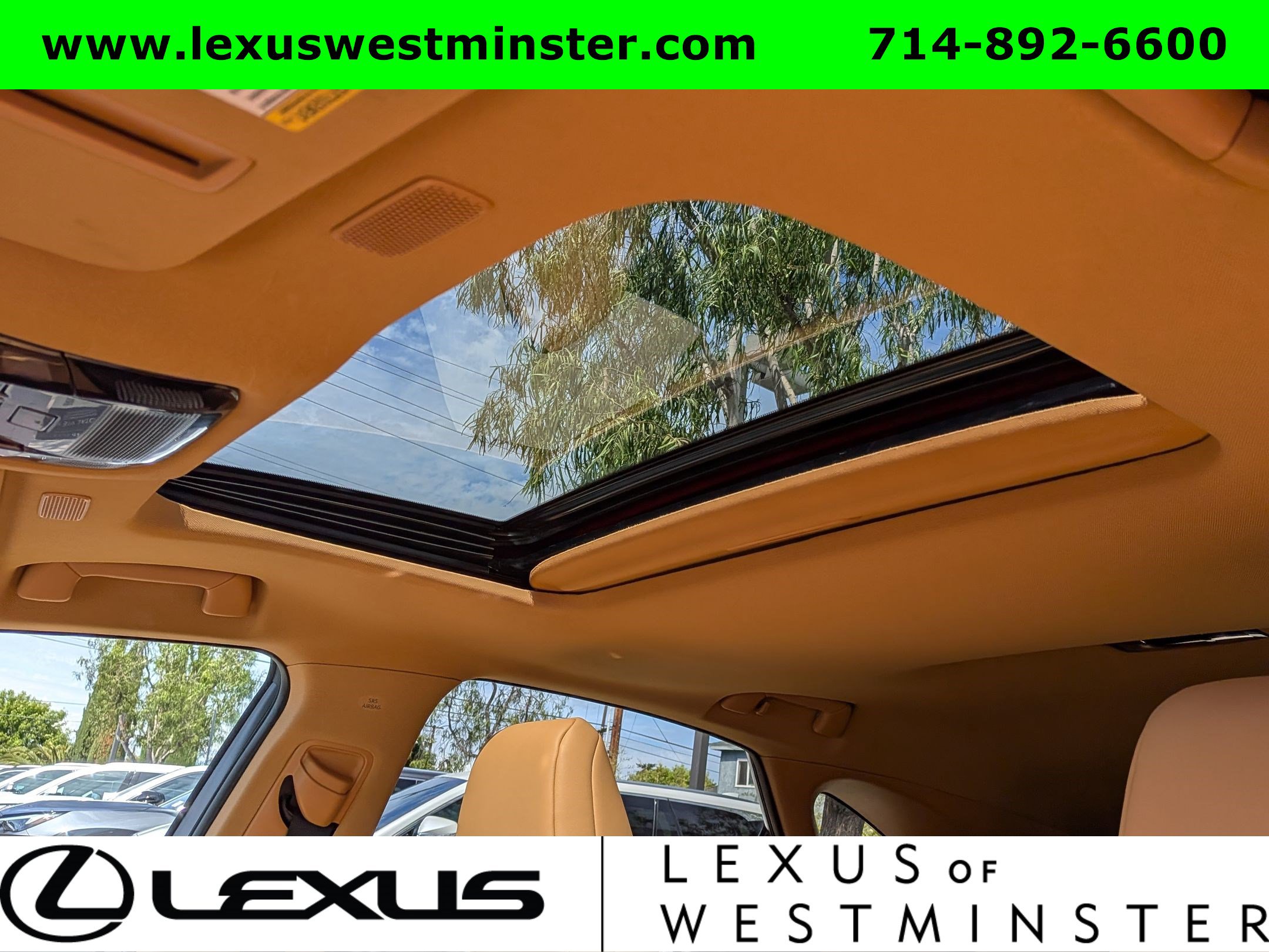 Used 2024 Lexus NX 250 FWD image 19