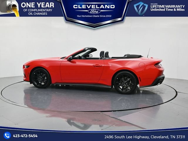 New 2026 Ford Mustang Convertible w/ Mustang Nite Pony Package RWD image 9