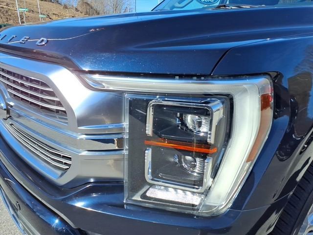 Certified 2021 Ford F150 Limited image 14