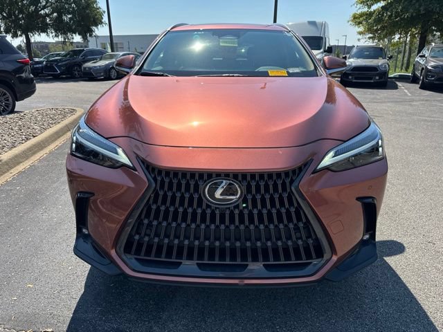 Used 2025 Lexus NX 350 AWD w/ Cold Area Package image 8