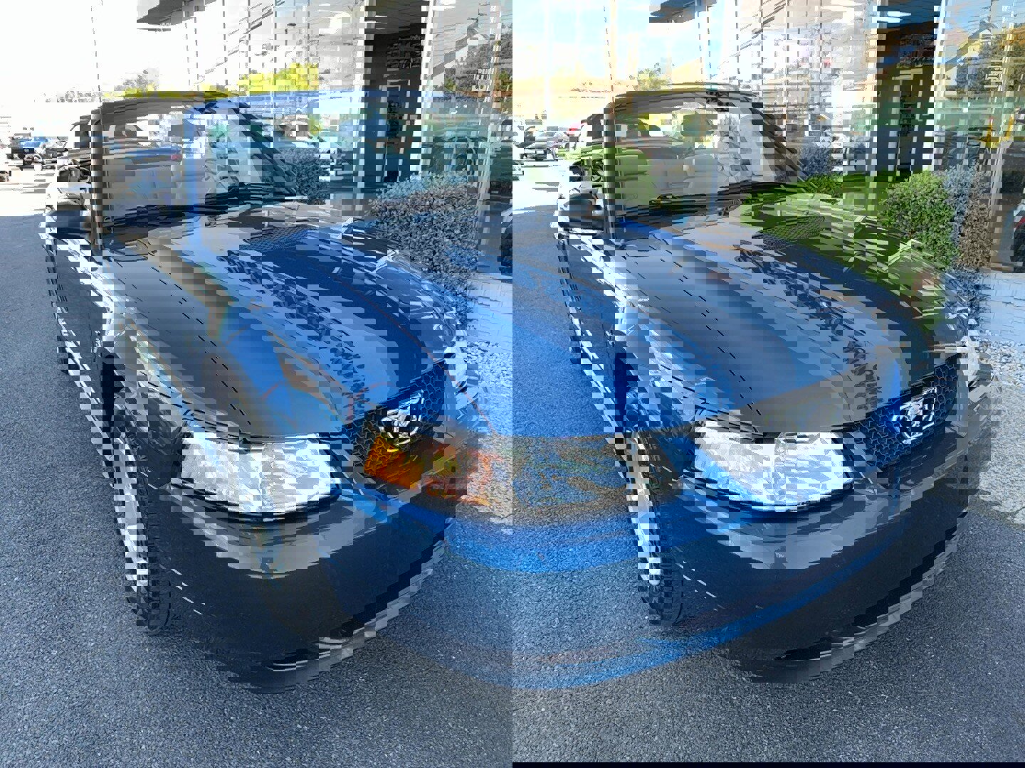 Used 2000 Ford Mustang Convertible RWD image 2