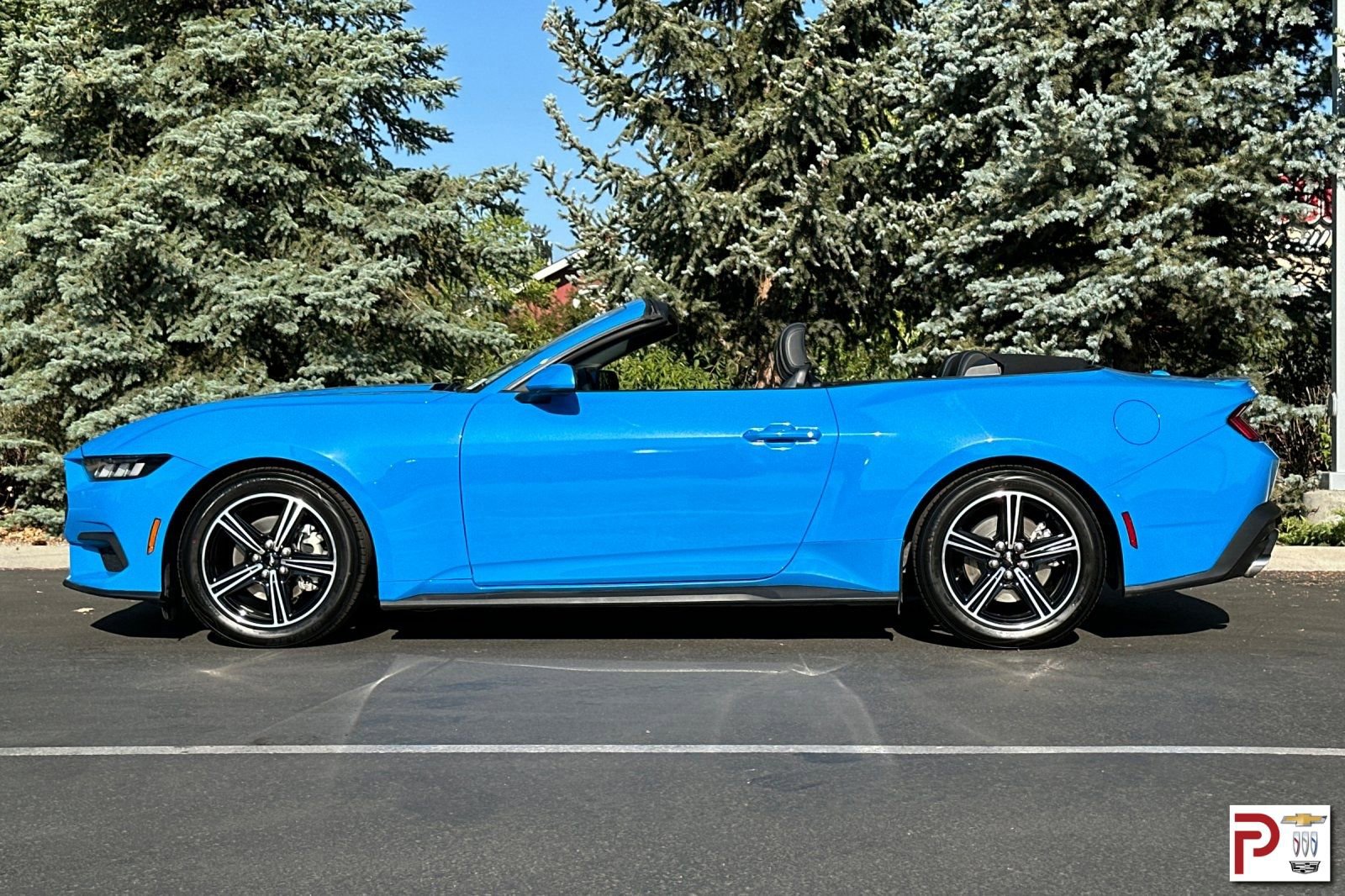 Used 2024 Ford Mustang Premium image 7