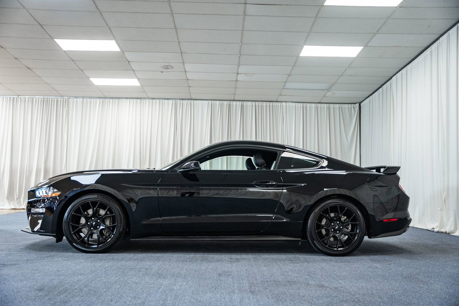 Used 2019 Ford Mustang Premium w/ Ecoboost Performance Package image 5