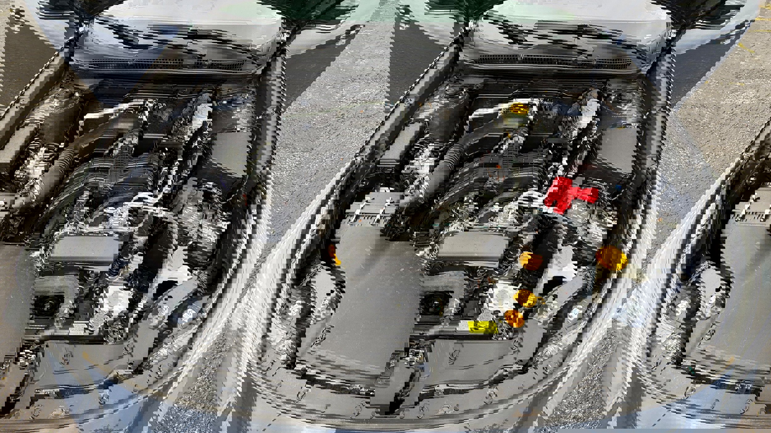 Certified 2024 Subaru Outback Limited image 9