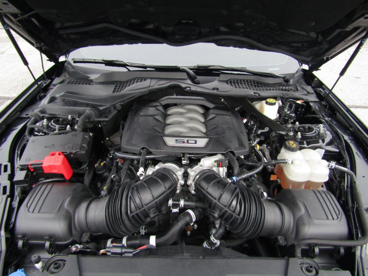 Used 2024 Ford Mustang GT Premium image 21