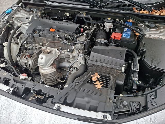 Certified 2024 Honda Civic Sport image 27