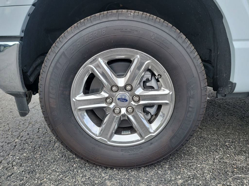 New 2025 Ford F150 XLT w/ Equipment Group 302A MID image 27