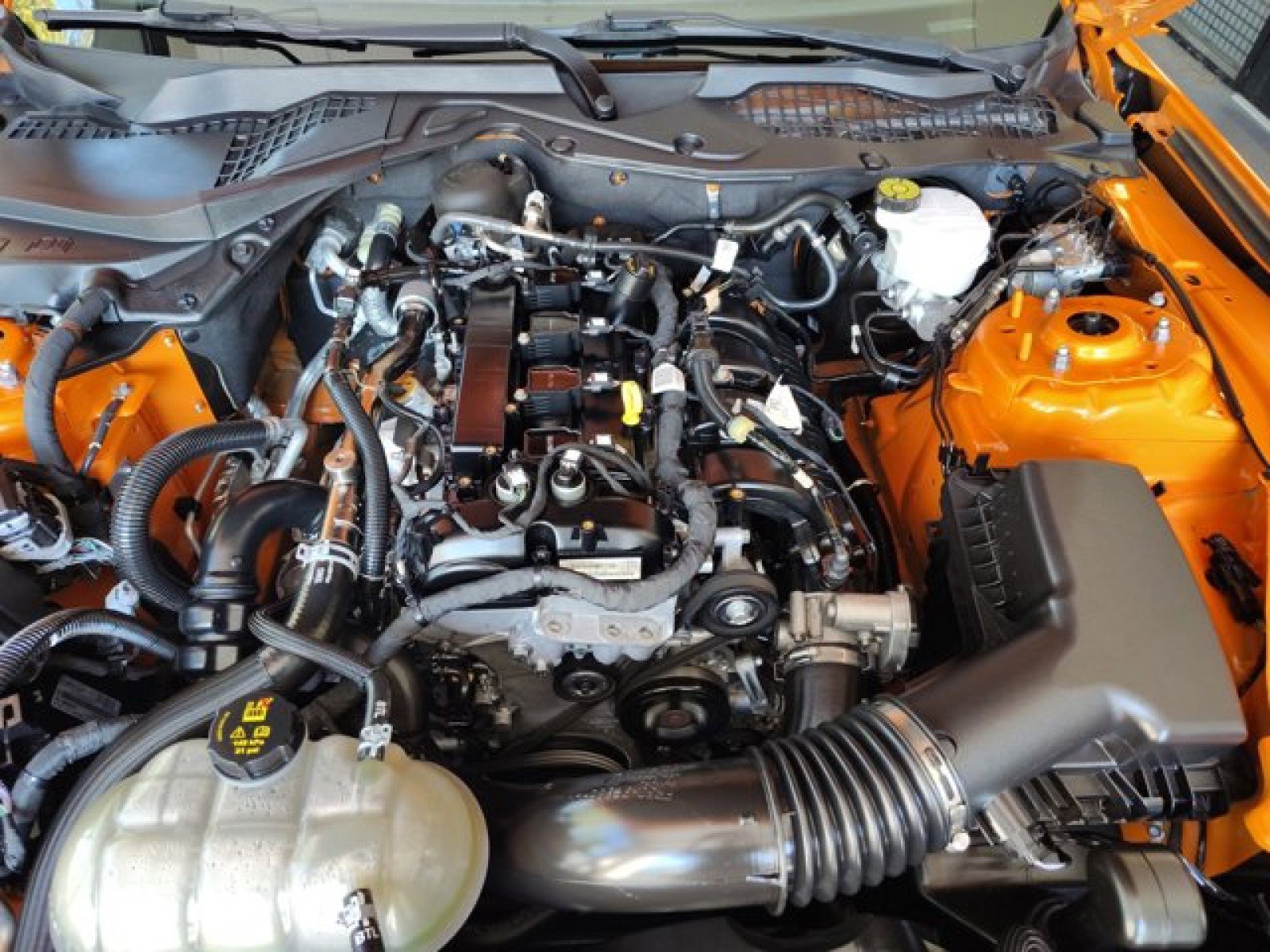 Used 2021 Ford Mustang Premium w/ Equipment Group 201A image 9