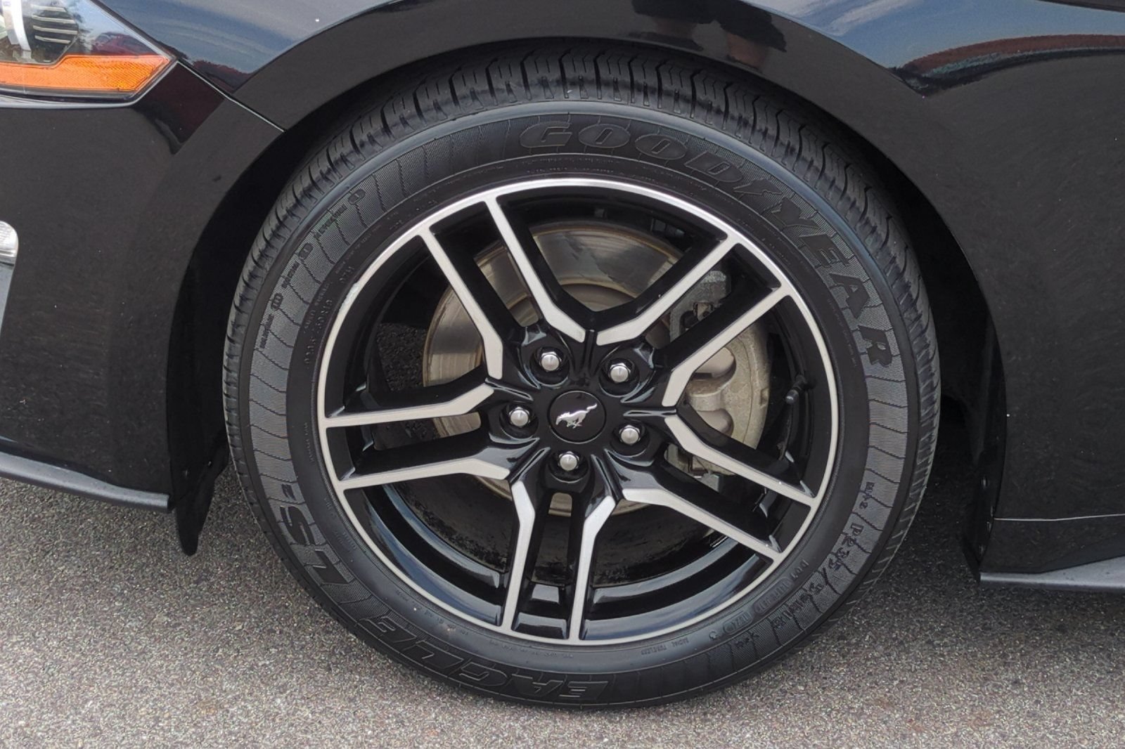 Used 2019 Ford Mustang Premium w/ Equipment Group 201A RWD image 45