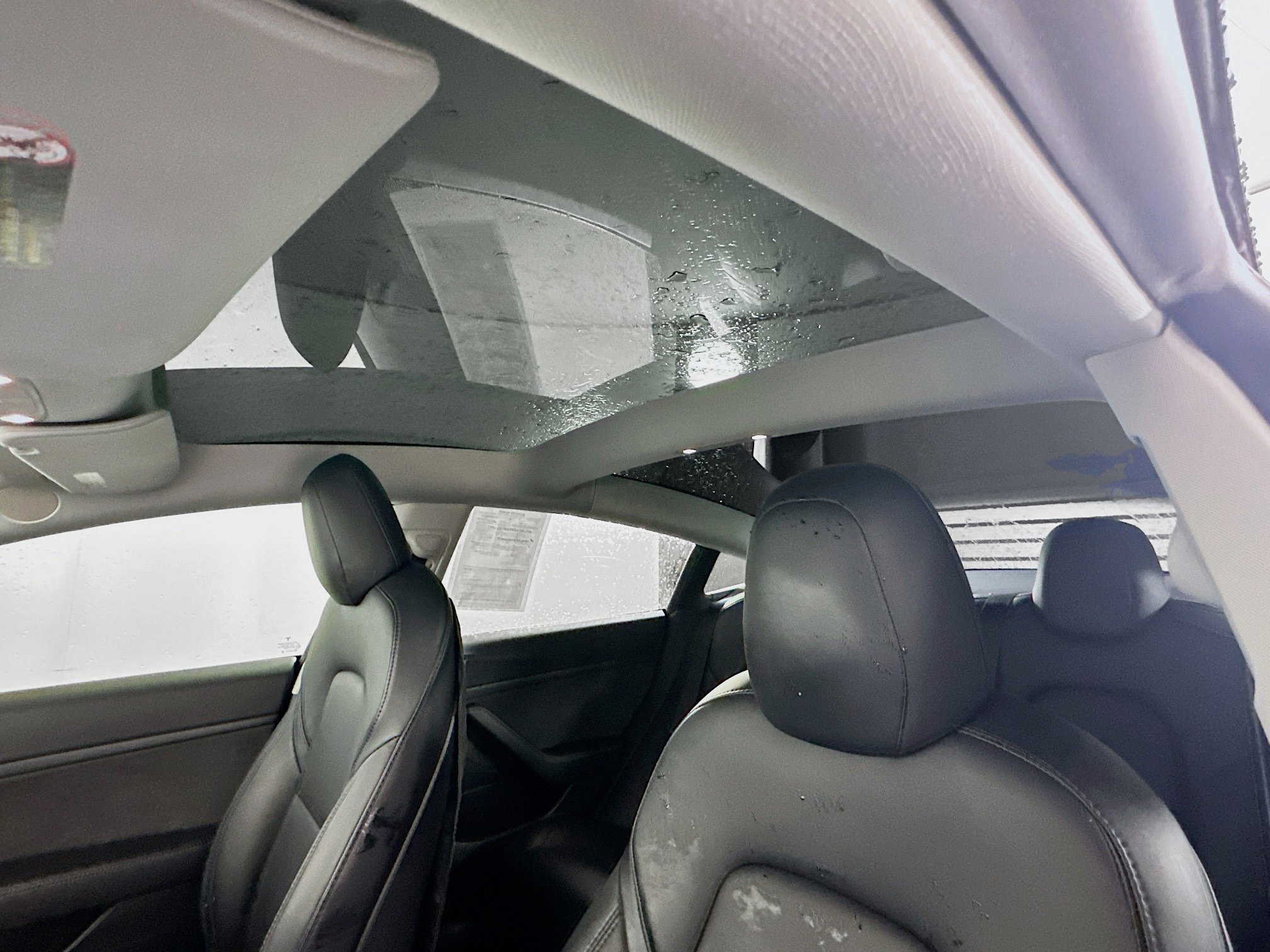 Used 2021 Tesla Model 3 Standard Range Plus image 25