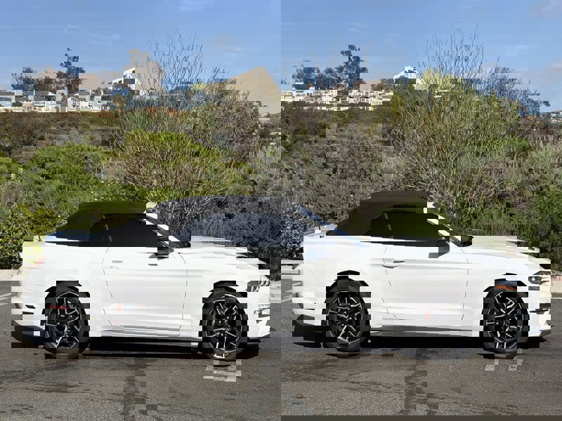 Used 2022 Ford Mustang Premium image 14