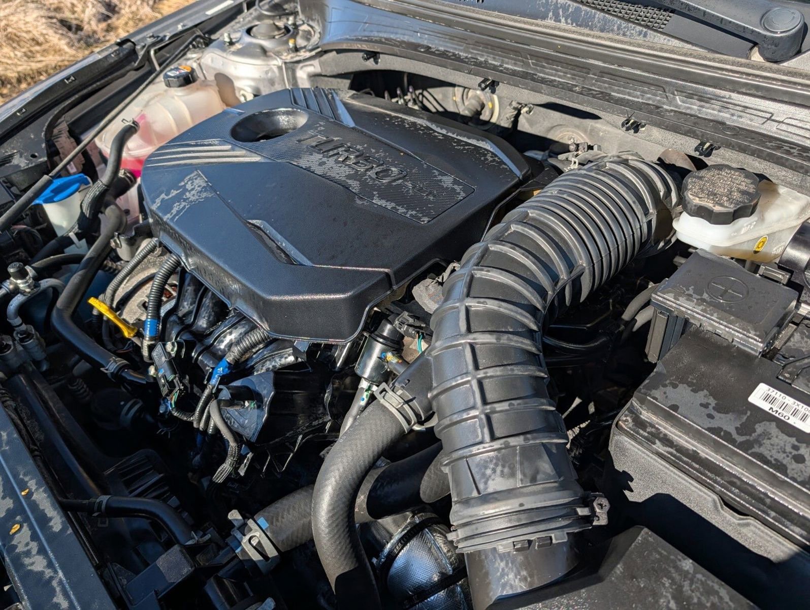 Used 2023 Kia Forte GT image 29