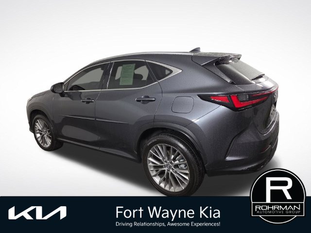 Used 2025 Lexus NX 350h AWD w/ Cold Area Package image 11